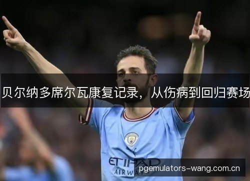 贝尔纳多席尔瓦康复记录,从伤病到回归赛场 贝尔纳多席尔瓦康复记录,从伤病到回归赛场